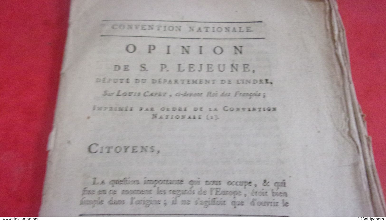 RARE 1793 Opinion De S.P. Lejeune, Député Du Département De L'Indre, Sur VOTE MORT DE  Louis CAPET (LOUIS XVI) - Centre - Val De Loire