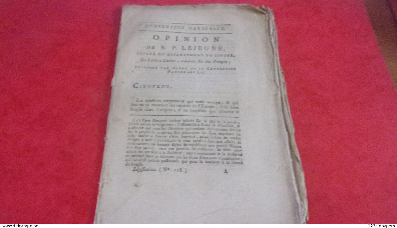 RARE 1793 Opinion De S.P. Lejeune, Député Du Département De L'Indre, Sur VOTE MORT DE  Louis CAPET (LOUIS XVI) - Centre - Val De Loire