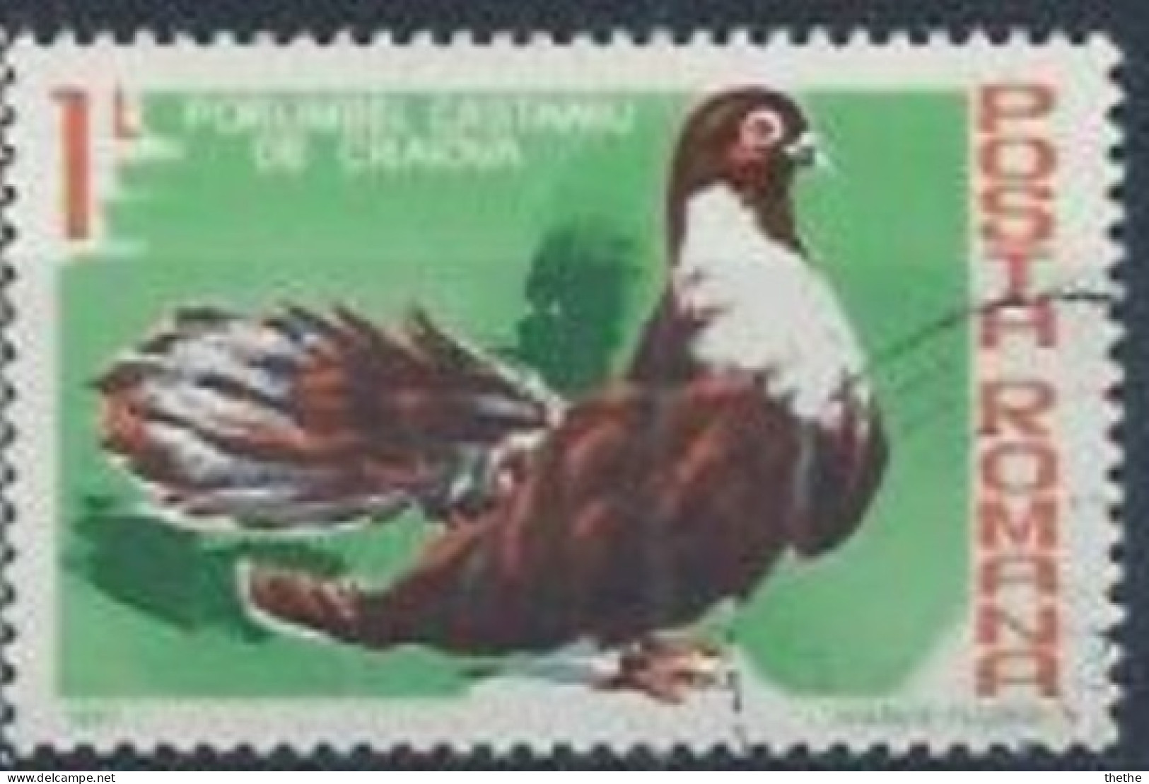 ROUMANIE - Pigeon Marron De Craiova (Columba Livia Forma Domestica) - Used Stamps