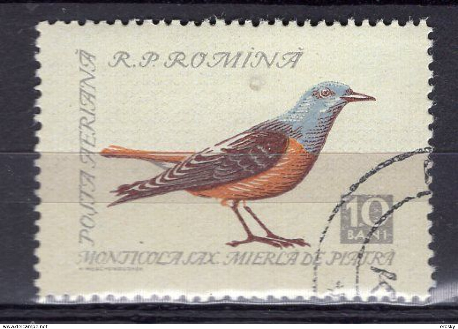 S2636 - ROMANIA ROUMANIE AERIENNE Yv N°91 - Gebraucht