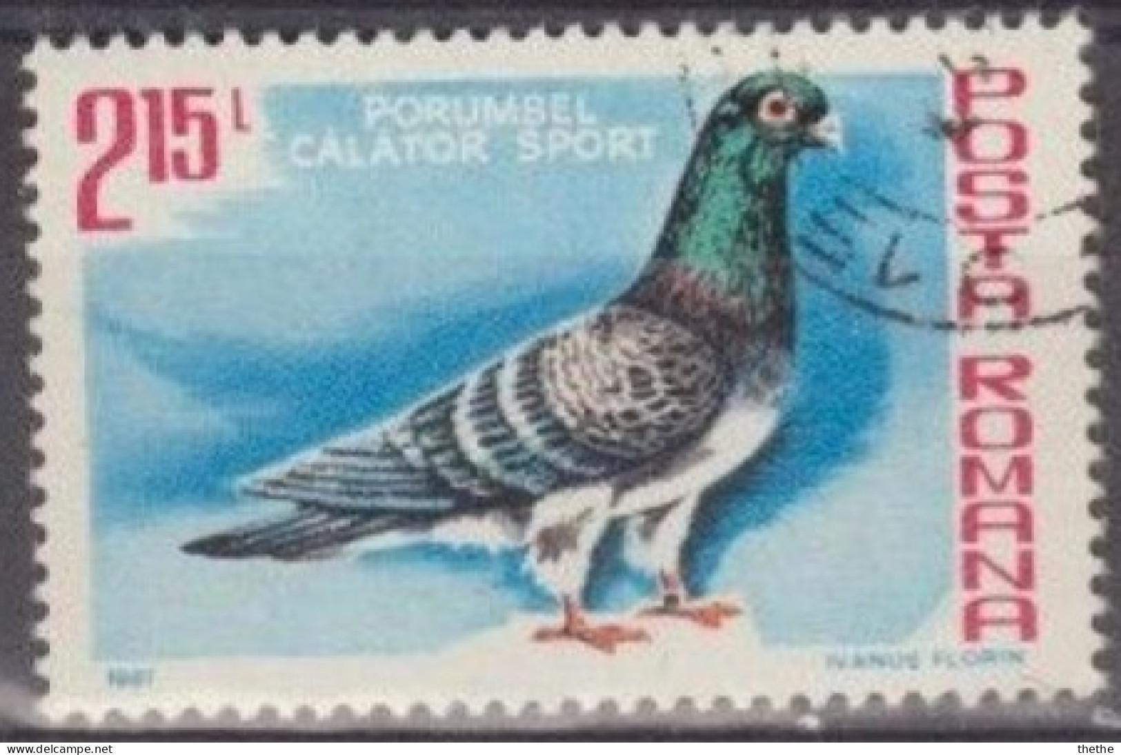 ROUMANIE - Pigeon Voyageur (Columba Livia Forma Domestica) - Gebruikt