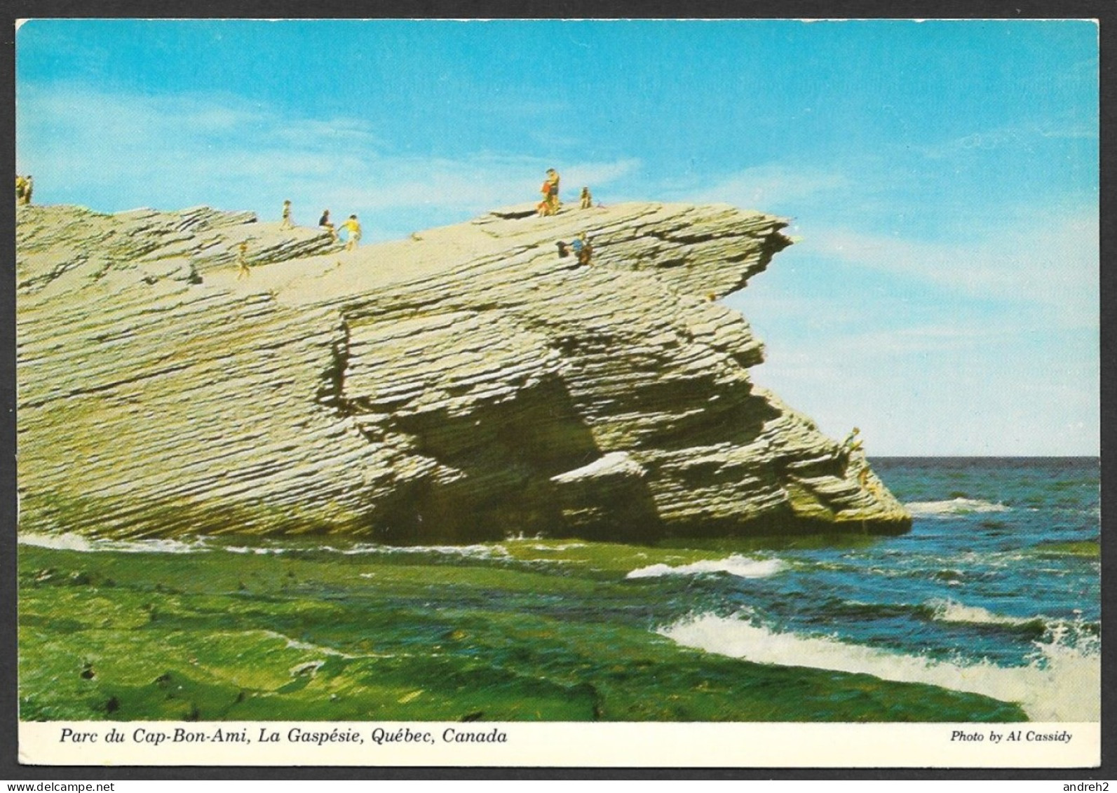 Gaspé  Gaspésie Québec - Le Cap Bon Ami Au Parc National Forillon - Non Circulée - Photo Al Cassidy  No: 18173R 10 - Gaspé