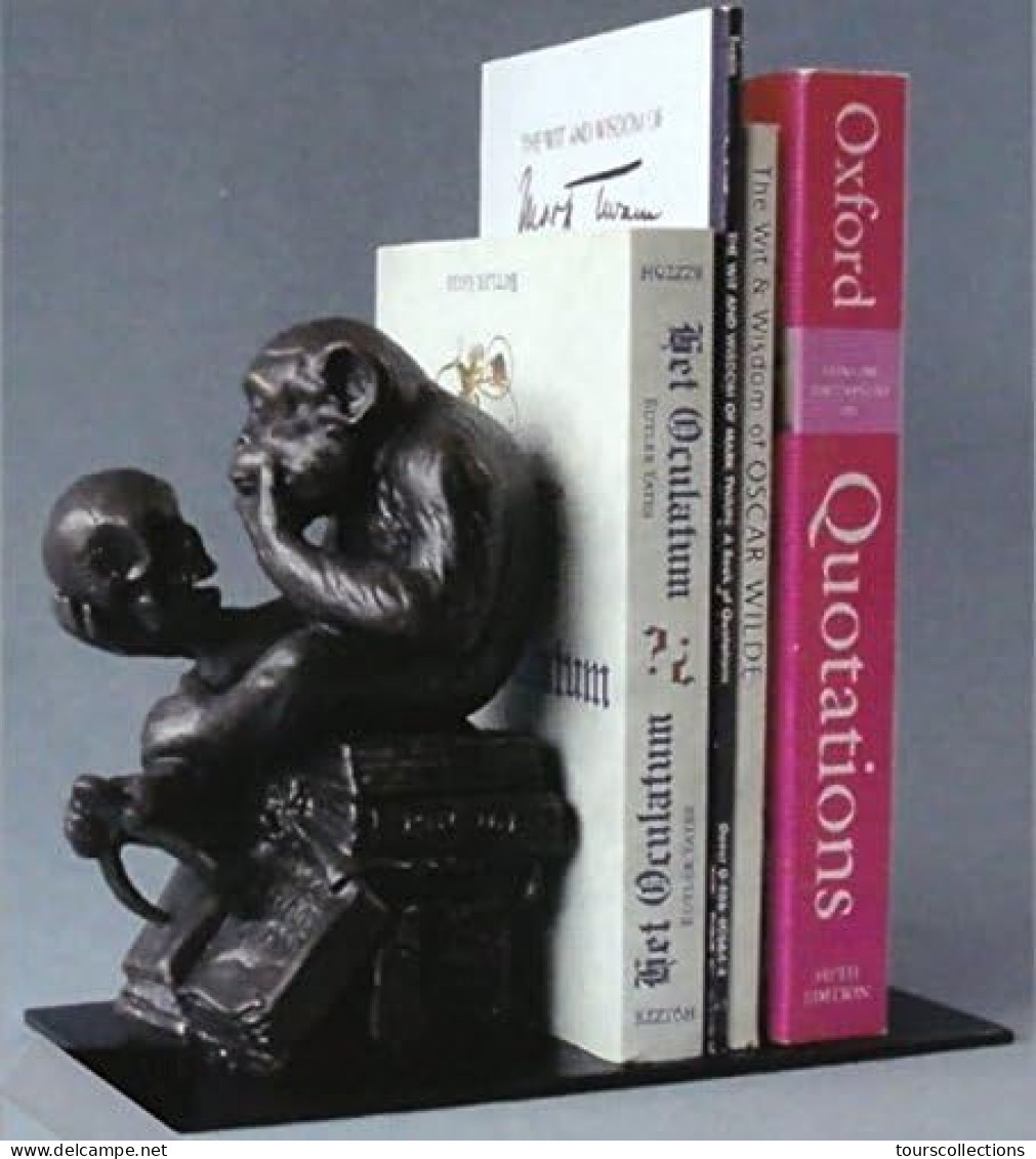 1 Serre-livres - Singe Avec Crâne Figurine - Hugo Rheinhold - Evolutions Théorie Darwin Chimpanzé Museumsshop (réplique) - Sonstige & Ohne Zuordnung