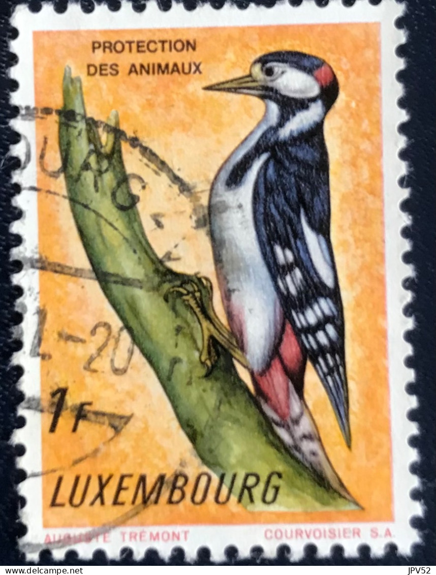 Luxembourg - Luxemburg - C18/29 - 1961 - (°)used - Michel 637 - Grote Bonte Specht - Oblitérés
