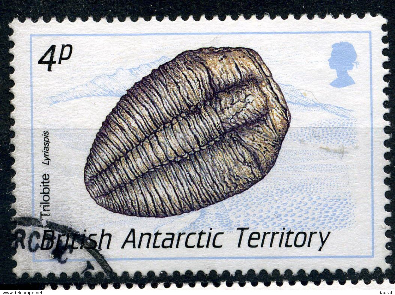 BAT Y&T 179° Trilobite Liriaspis - Used Stamps