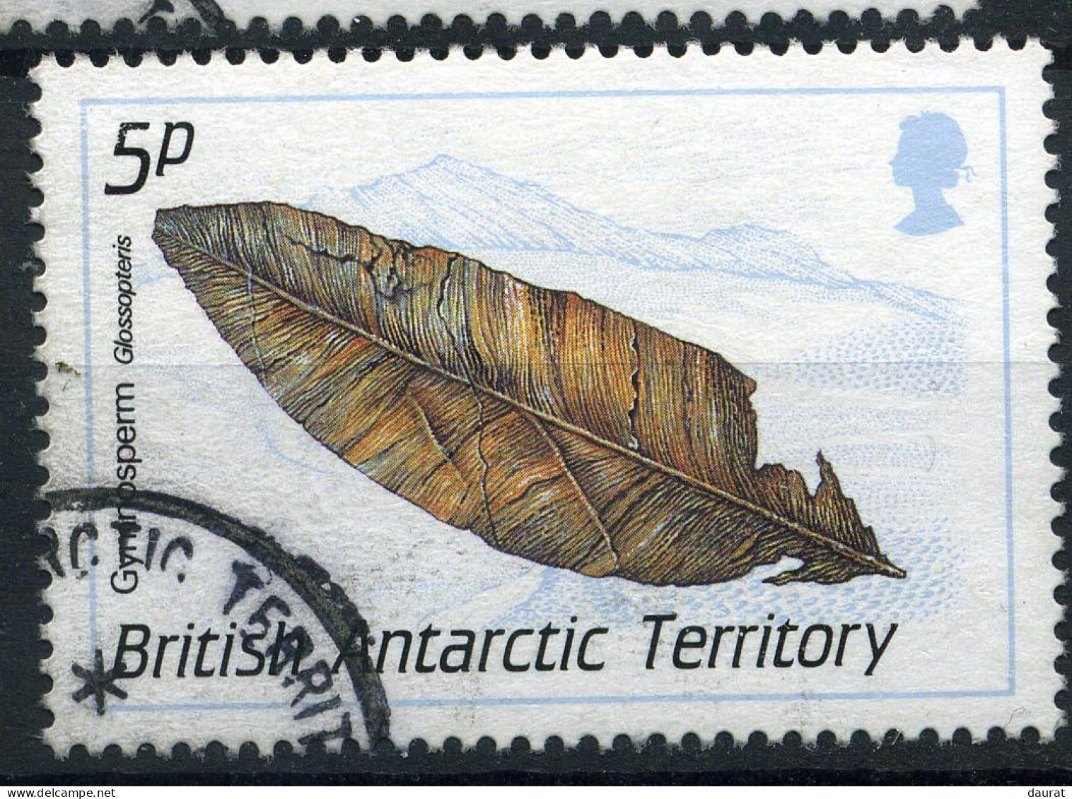 BAT Y&T 180° Glossopteris - Used Stamps