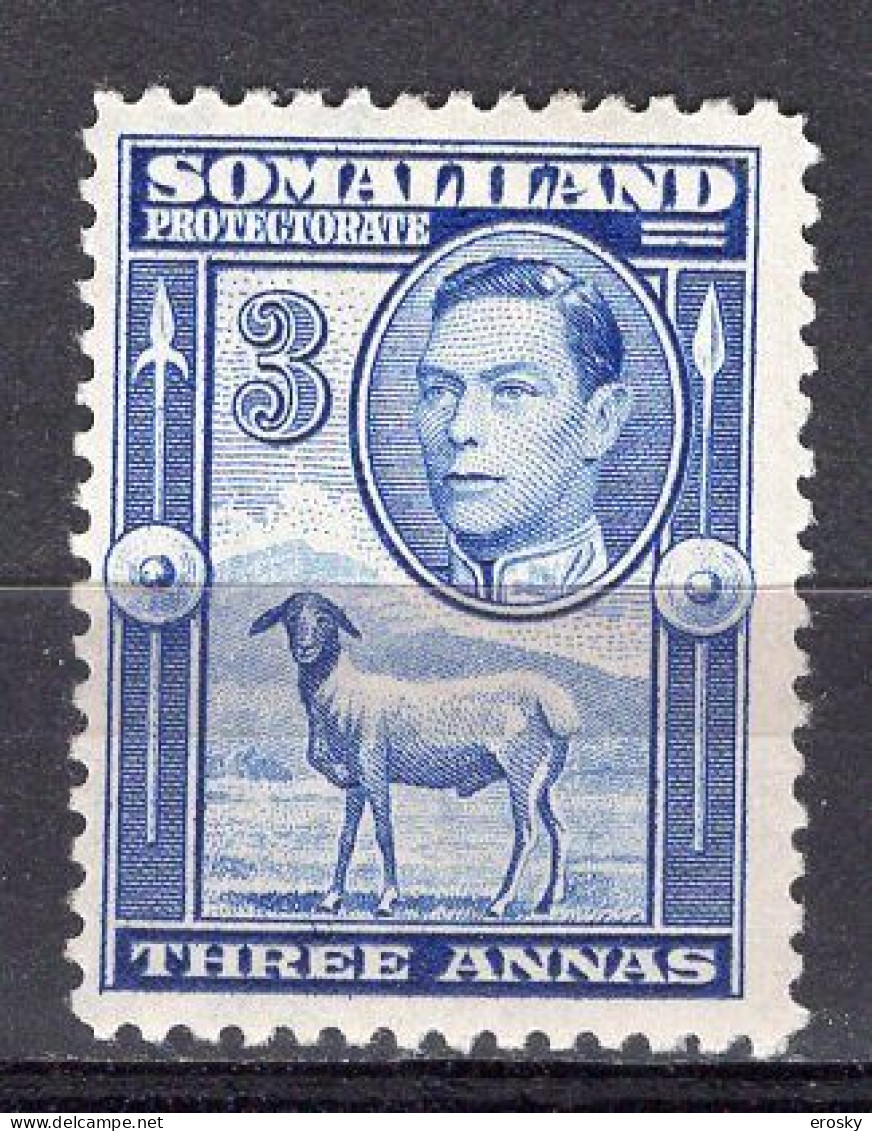 P4004 - BRITISH COLONIES SOMALILAND Yv N°79 * - Somaliland (Protectoraat ...-1959)