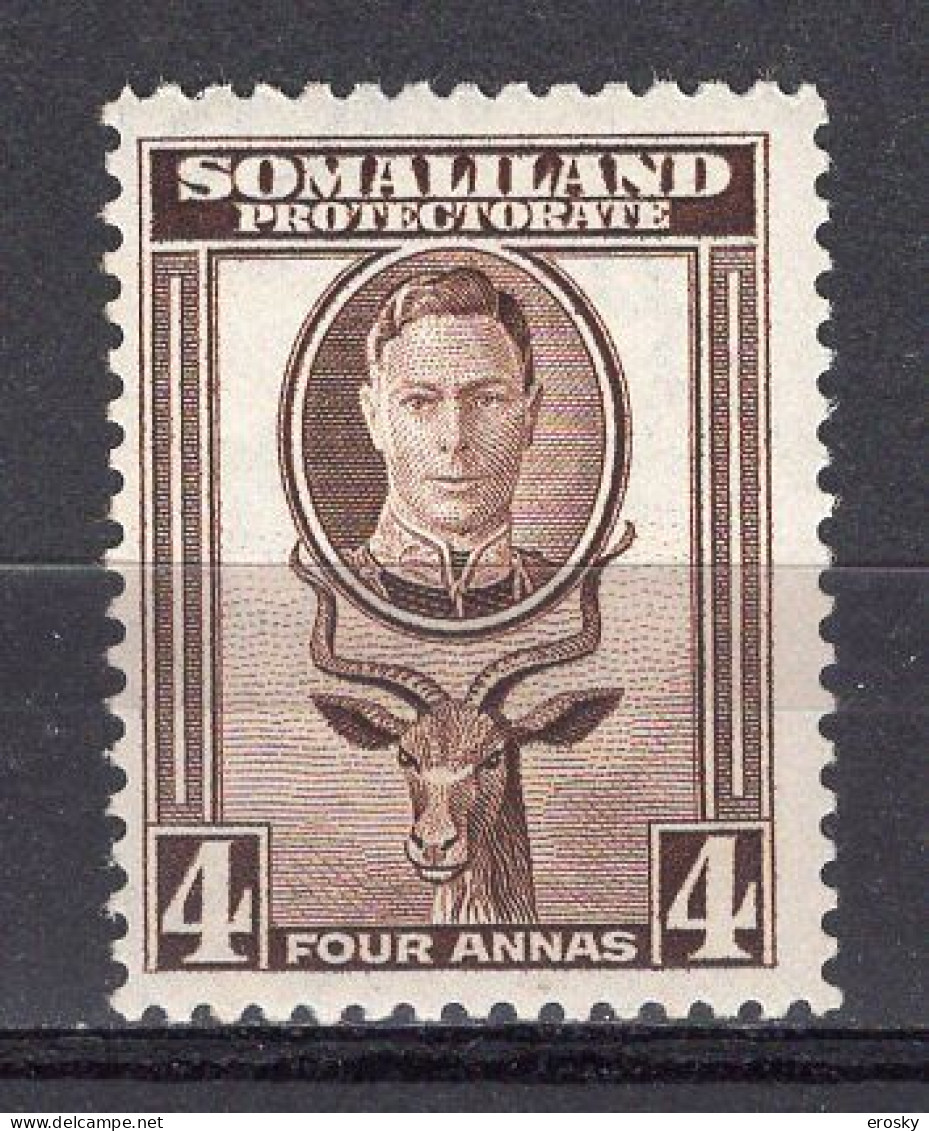 P4005 - BRITISH COLONIES SOMALILAND Yv N°80 ** - Somalilandia (Protectorado ...-1959)