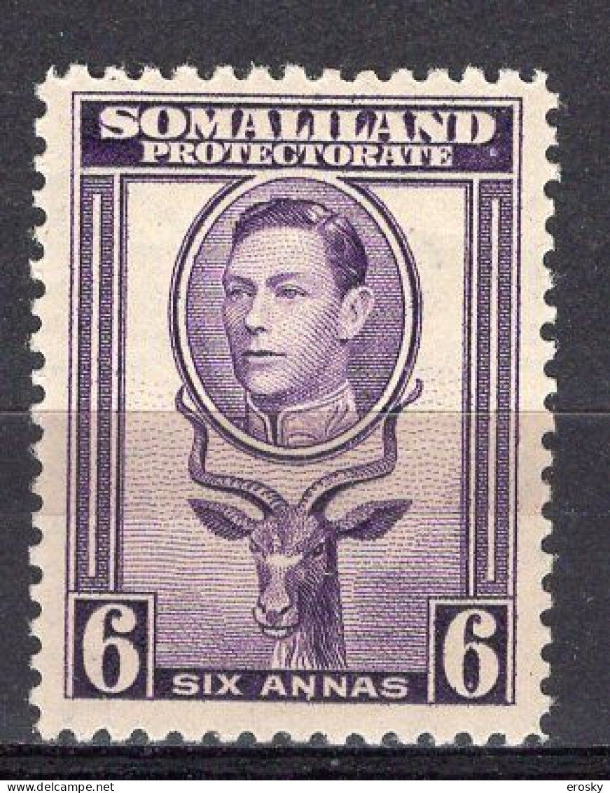 P4006 - BRITISH COLONIES SOMALILAND Yv N°81 * - Somaliland (Herrschaft ...-1959)