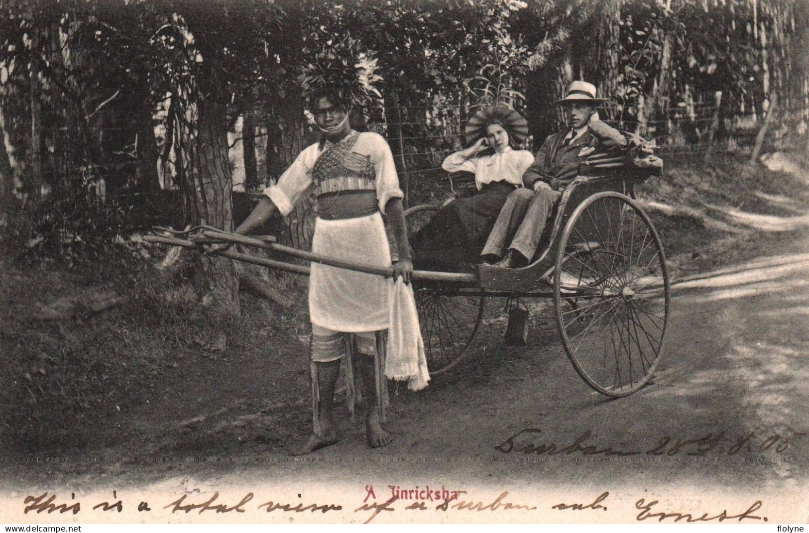 Jinricksha - Afrique Du Sud South Africa Transvaal - Zuid-Afrika