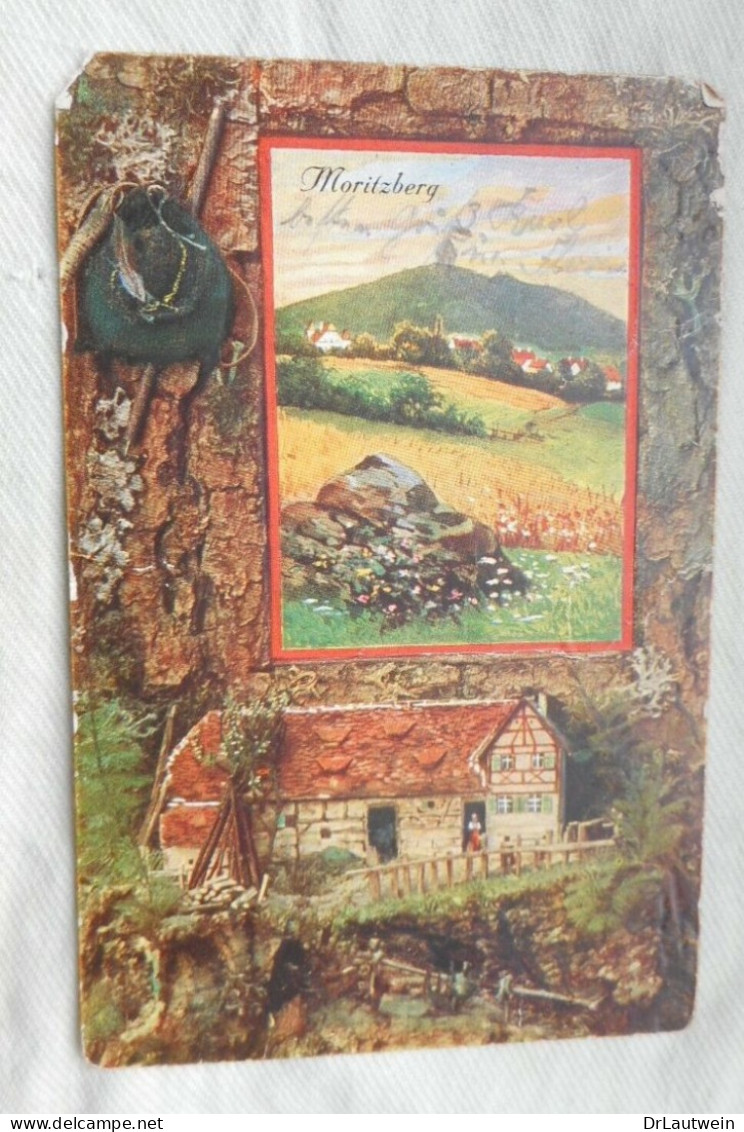 AK Moritzberg Ansicht Des Bergs Und Wirtshauses 1921 - Lauf