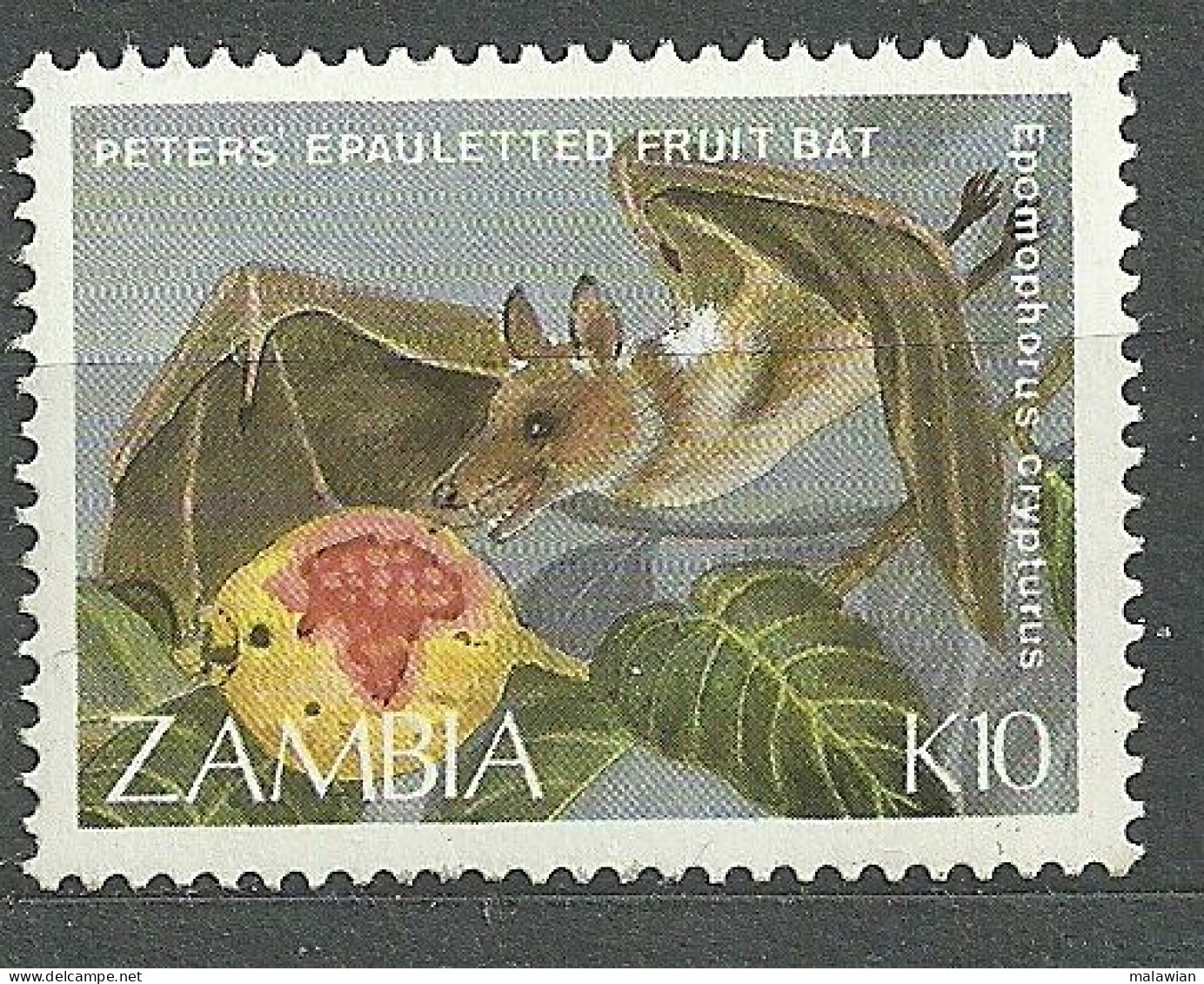 Zambia, 1989 (#481c), Fauna Mammals Bats Animals Animales Animaux Animali Tiere Animais Zwierzeta Fruits Früchte Frutta - Bats