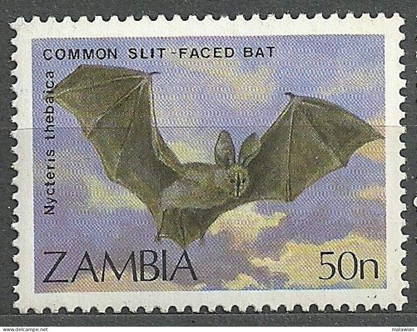 Zambia, 1989 (#478a), Fauna, Mammals, Bats, Animals, Animales, Animaux, Animali, Tiere, Animais, Zwierzeta - 1v Single - Bats