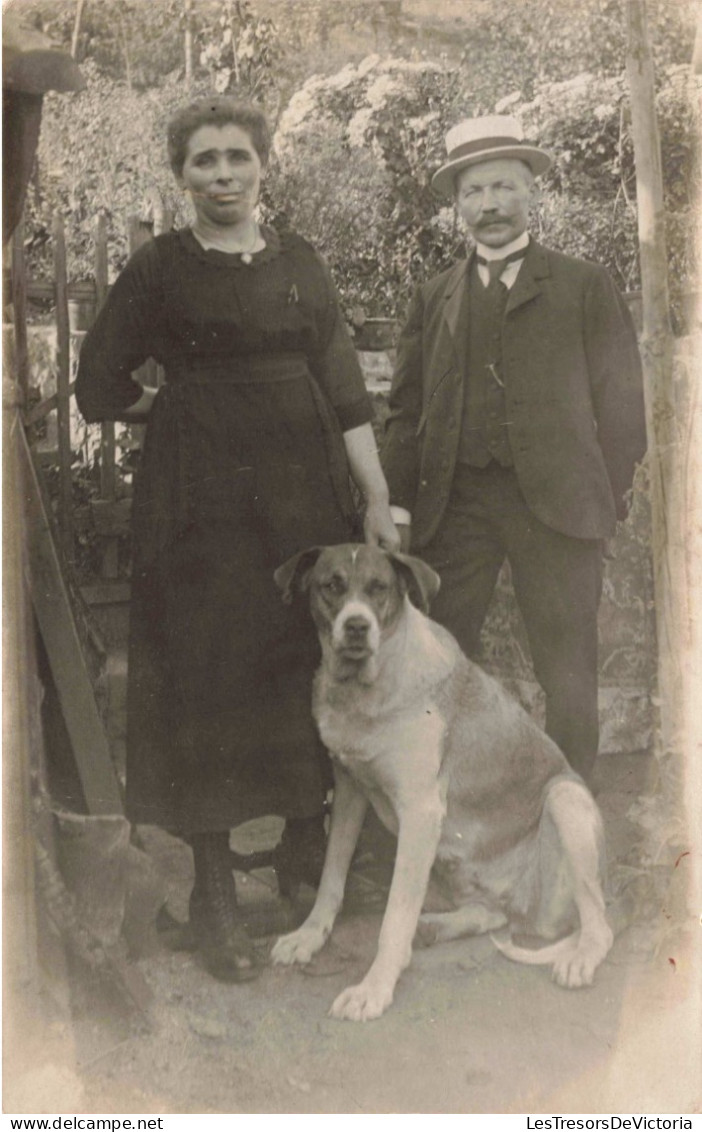 CARTE PHOTO - Photographie - Portrait D'un Couple Avec Leur Chien -  Carte Postale Ancienne - Photographie