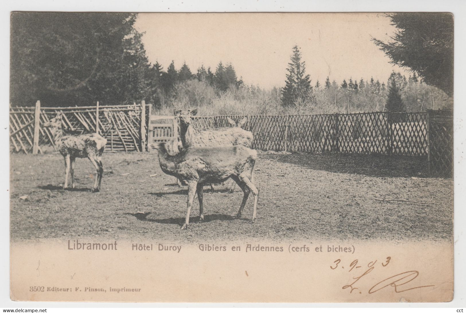 Libramont   Hôtel Duroy   Gibiers En Ardennes (cerfs Et Biches) - Libramont-Chevigny