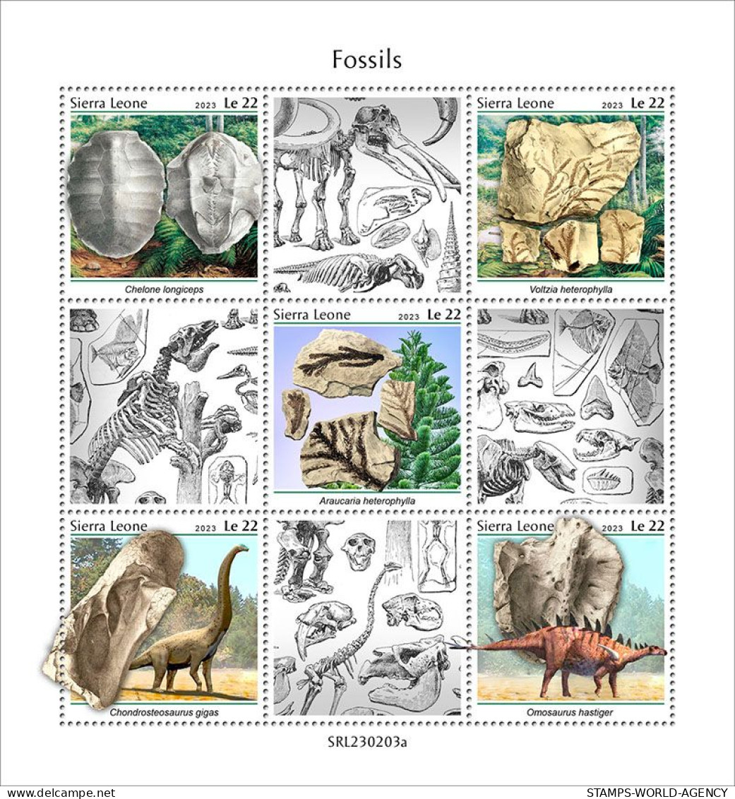 2023-03 - SIERRA LEONE- FOSSILS            5V  MNH** - Fossils