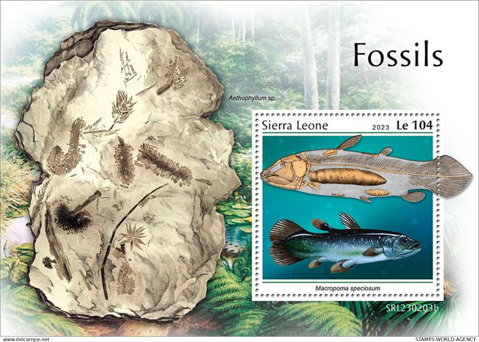 2023-03 - SIERRA LEONE- FOSSILS            1V  MNH** - Fossiles