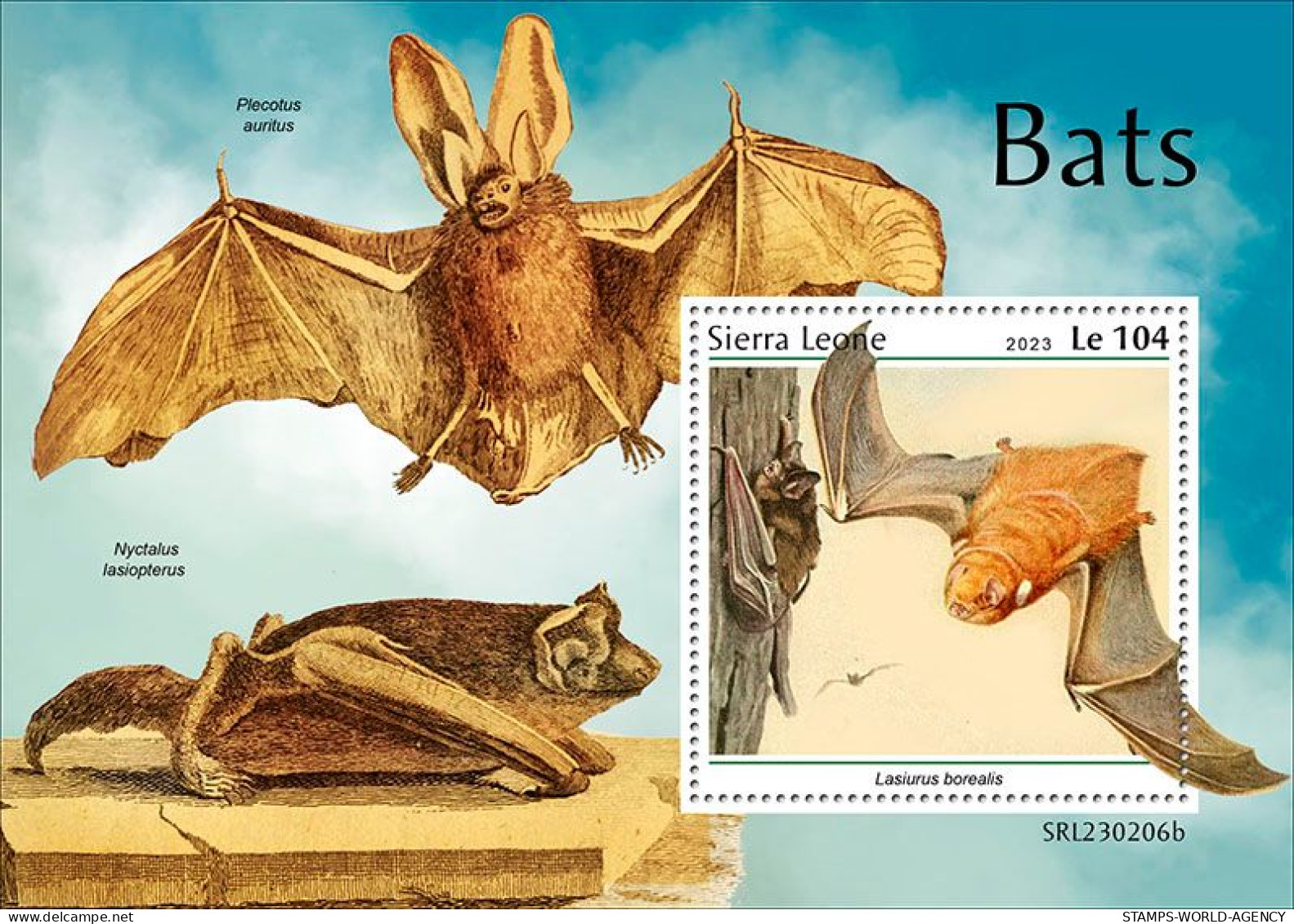 2023-03 - SIERRA LEONE- BATS            1V  MNH** - Fossili