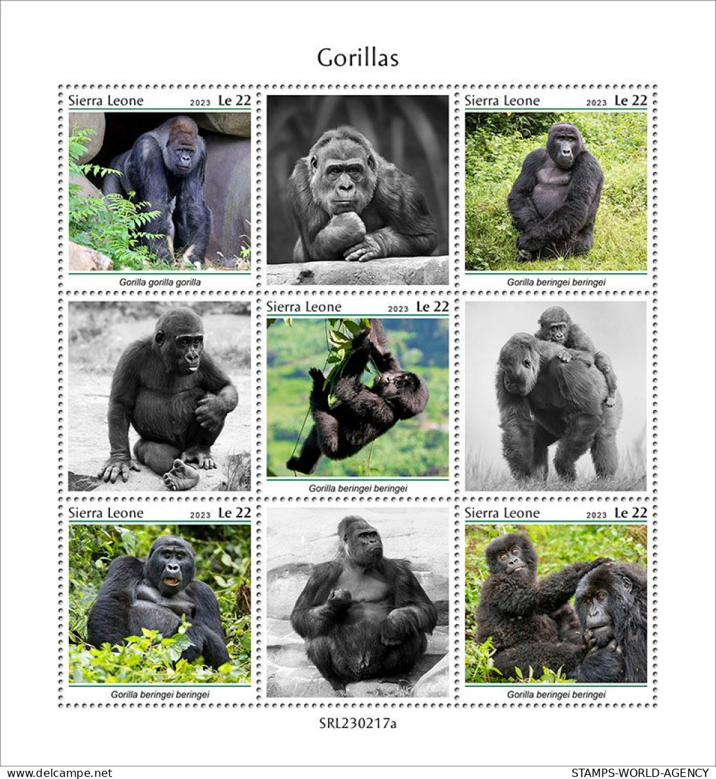 2023-03 - SIERRA LEONE- GORILLAS              5V  MNH** - Gorilles