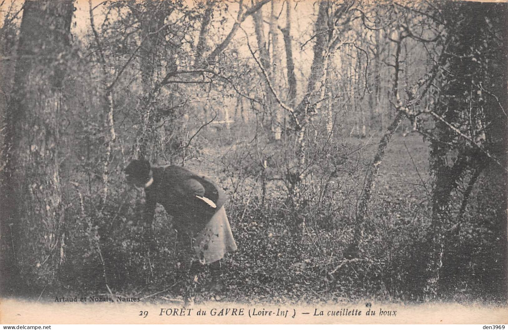 Forêt Du GAVRE (Loire-Atlantique) - La Cueillette Du Houx - Ecrit 1919 (2 Scans) - Le Gavre