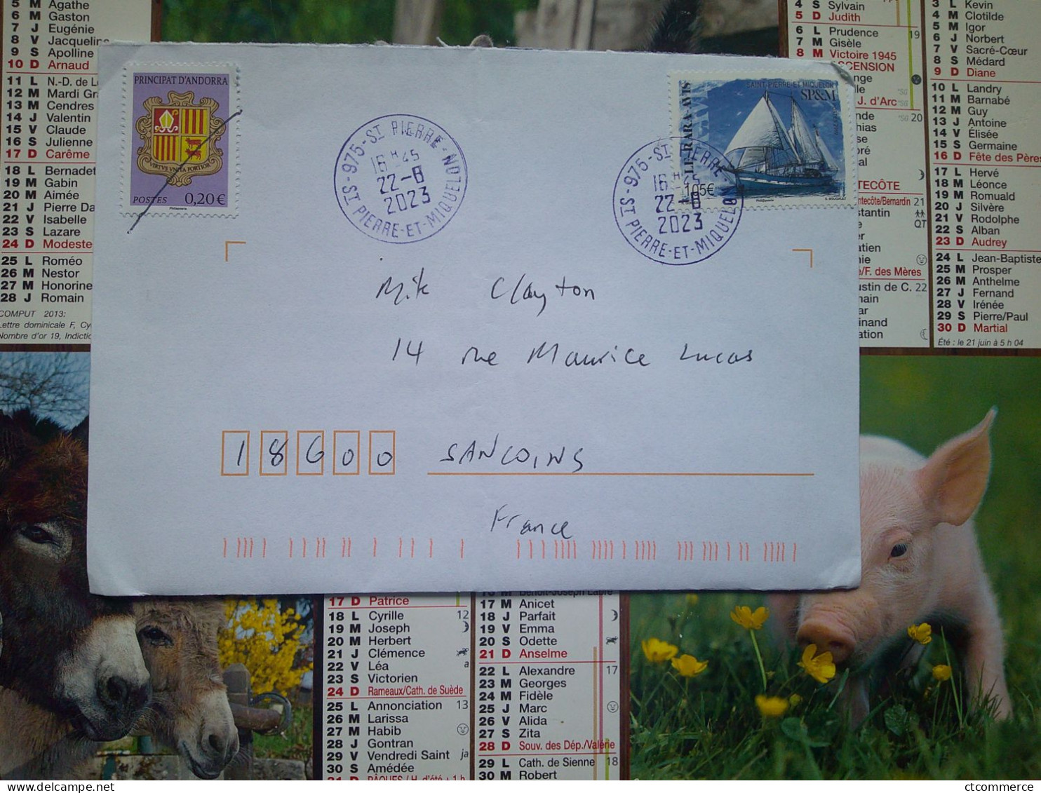St Pierre Et Miquelon, Le Rara Avis (Andorra 0,20€) - Lettres & Documents