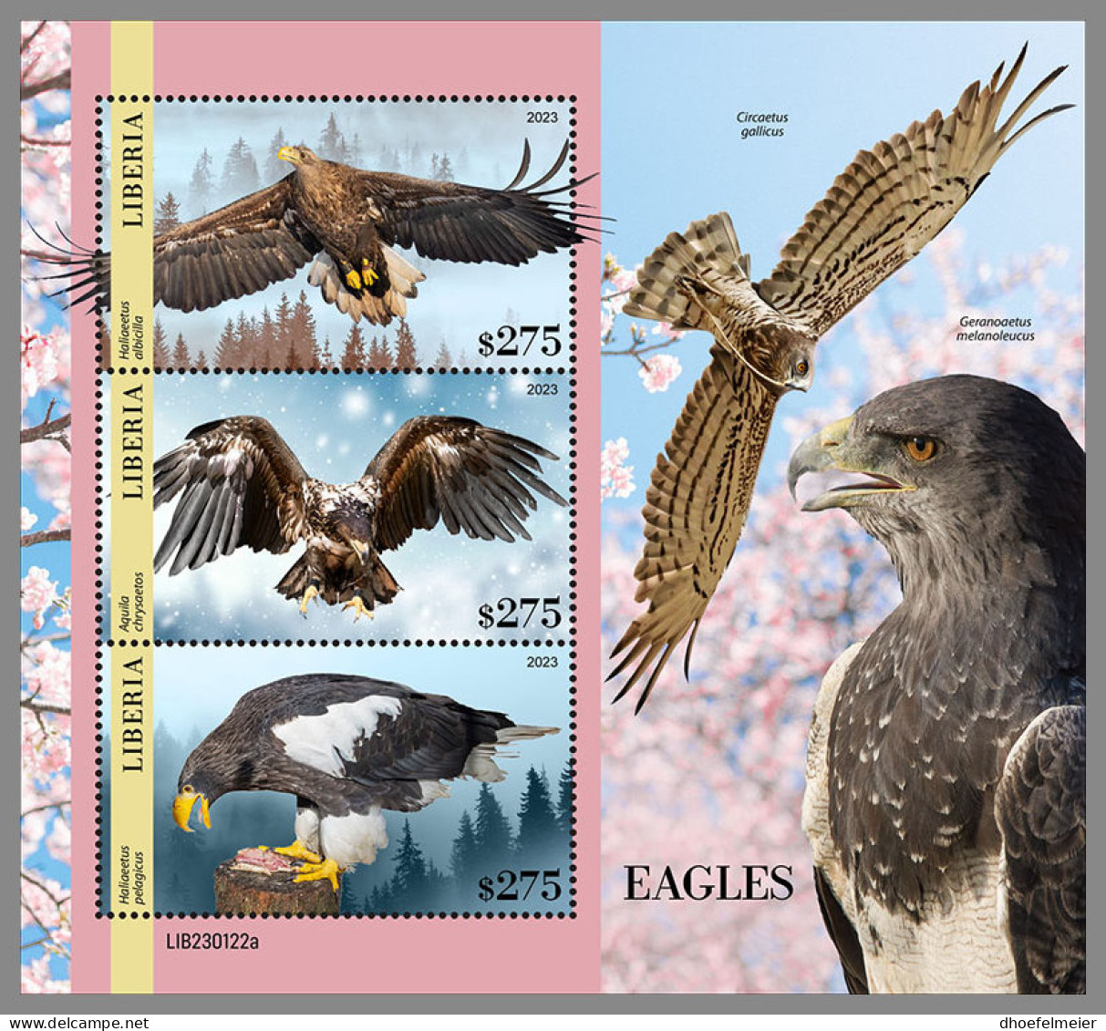 LIBERIA 2023 MNH Eagles Adler Aigles M/S - OFFICIAL ISSUE - DHQ2335 - Aigles & Rapaces Diurnes