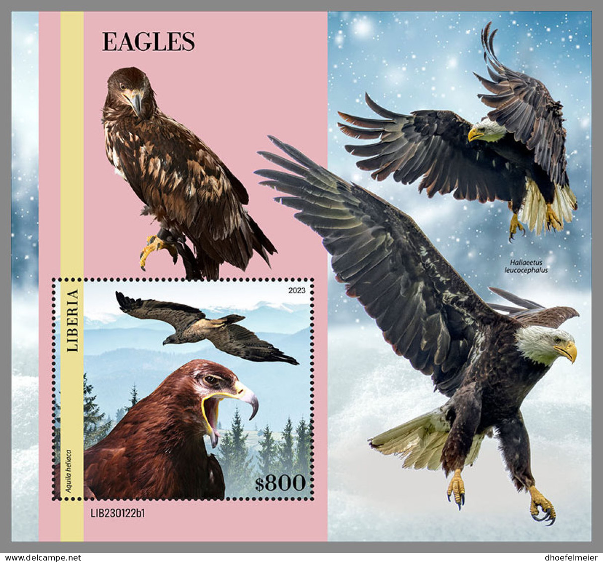 LIBERIA 2023 MNH Eagles Adler Aigles S/S I - OFFICIAL ISSUE - DHQ2335 - Aigles & Rapaces Diurnes
