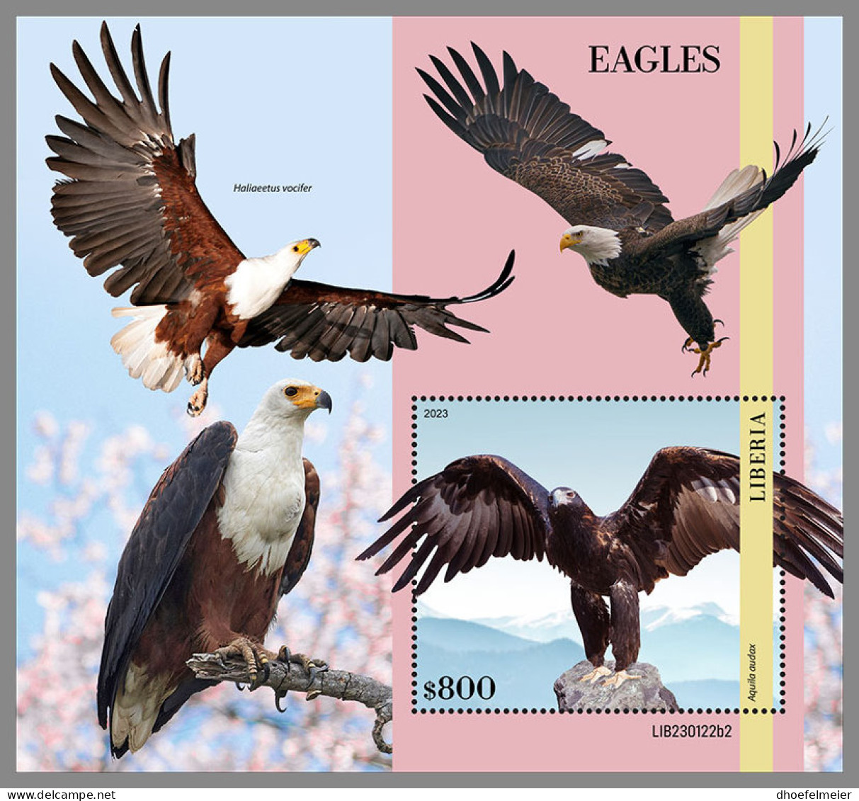 LIBERIA 2023 MNH Eagles Adler Aigles S/S II - OFFICIAL ISSUE - DHQ2335 - Aigles & Rapaces Diurnes