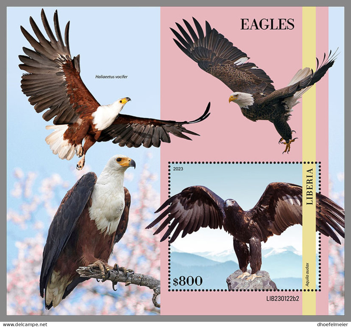 LIBERIA 2023 MNH Eagles Adler Aigles S/S II - IMPERFORATED - DHQ2335 - Aigles & Rapaces Diurnes