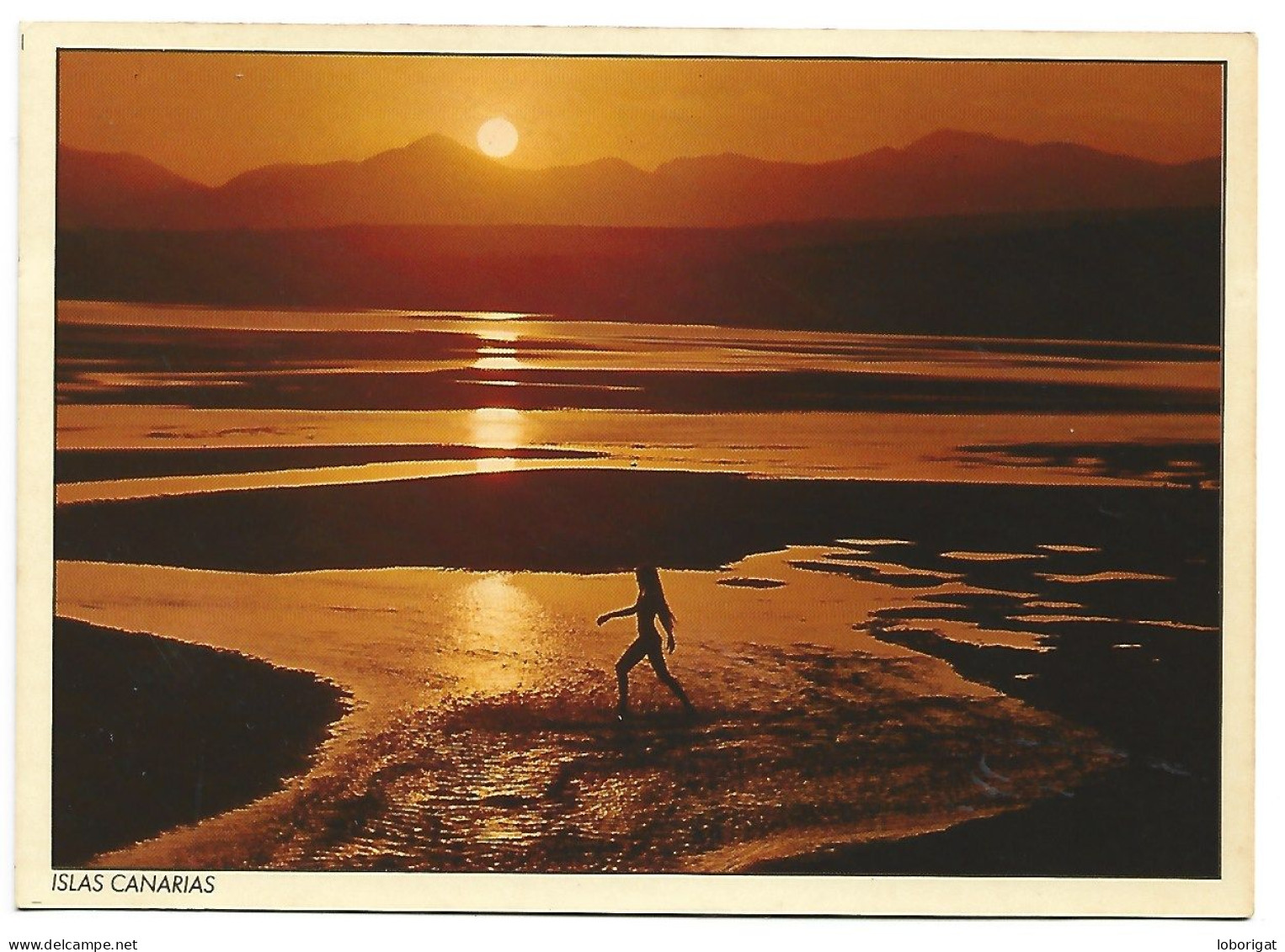 PLAYA DE LOS POCILLOS.-  LANZAROTE / ISLAS CANARIAS.- ( ESPAÑA ). - Lanzarote