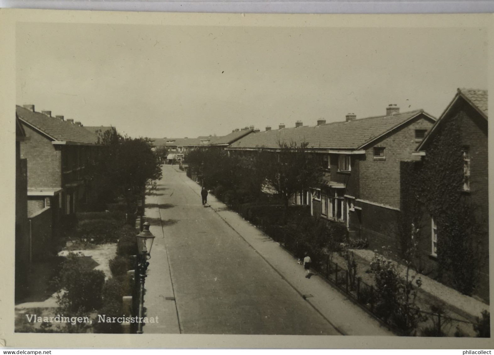 Vlaardingen // Narcisstraat 19?? - Vlaardingen