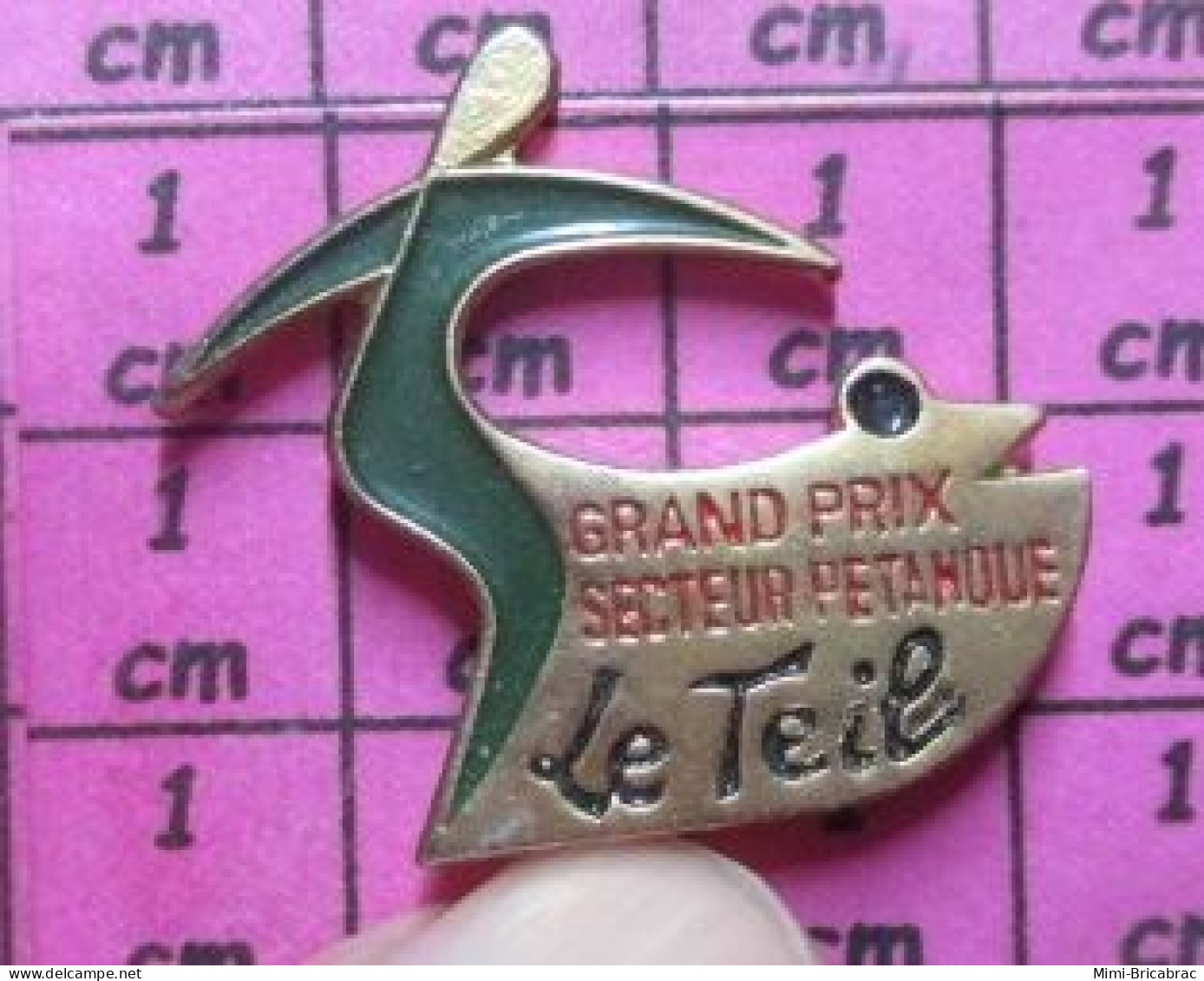 818A Pin's Pins / Beau Et Rare / SPORTS / PETANQUE GRAND PRIX SECTEUR PETANQUE LE TEIL - Bowls - Pétanque