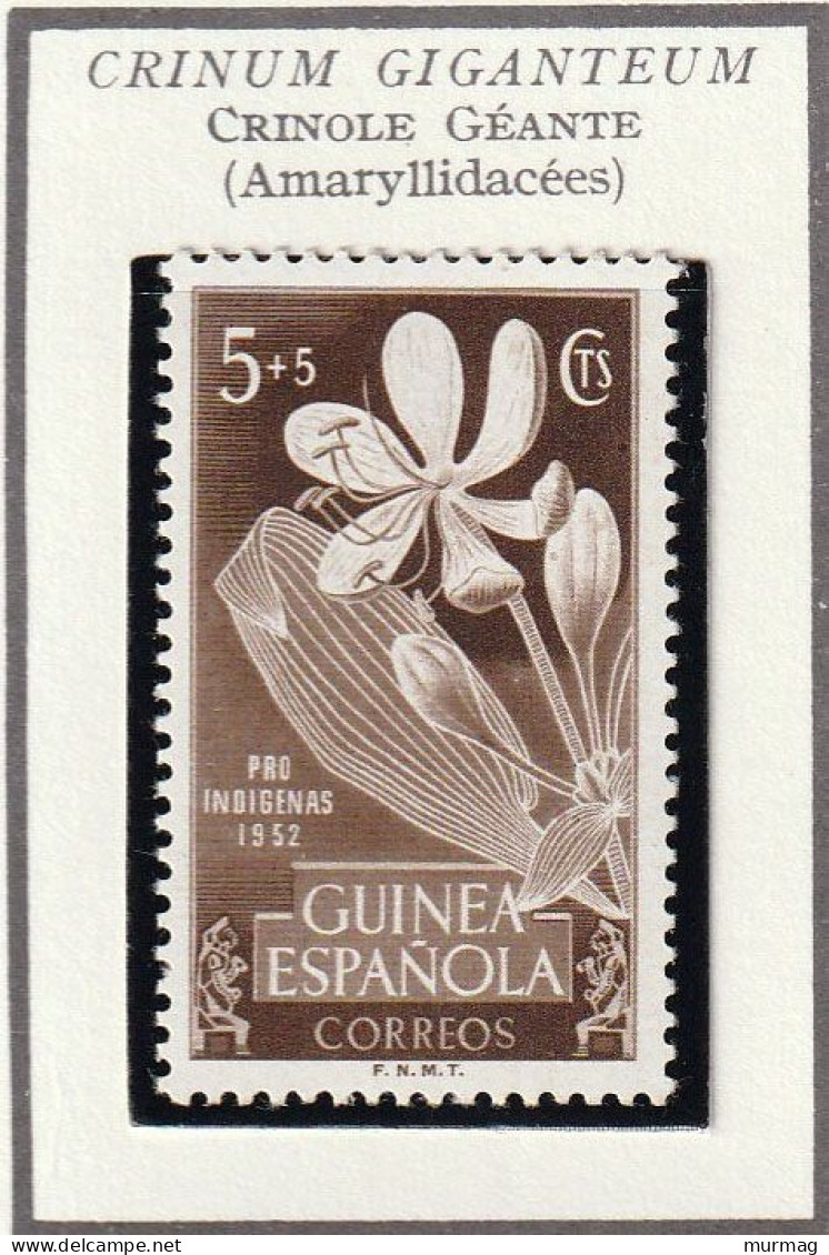GUINEE ESPAGNOLE - Fleurs, Flowers, Crinole Géante - Y&T N° 336 - 1952 - MH - Guinea Española