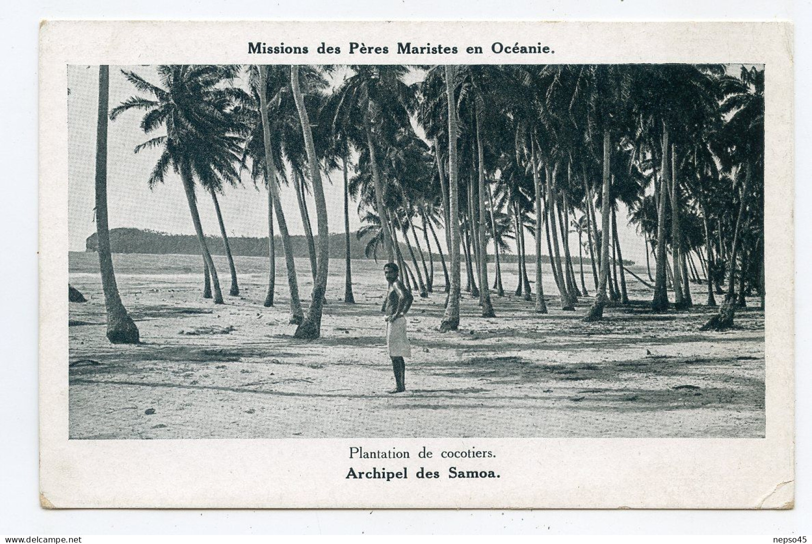 Oceanie.plantation De Cocotiers Archipel Des Samoa. - Samoa