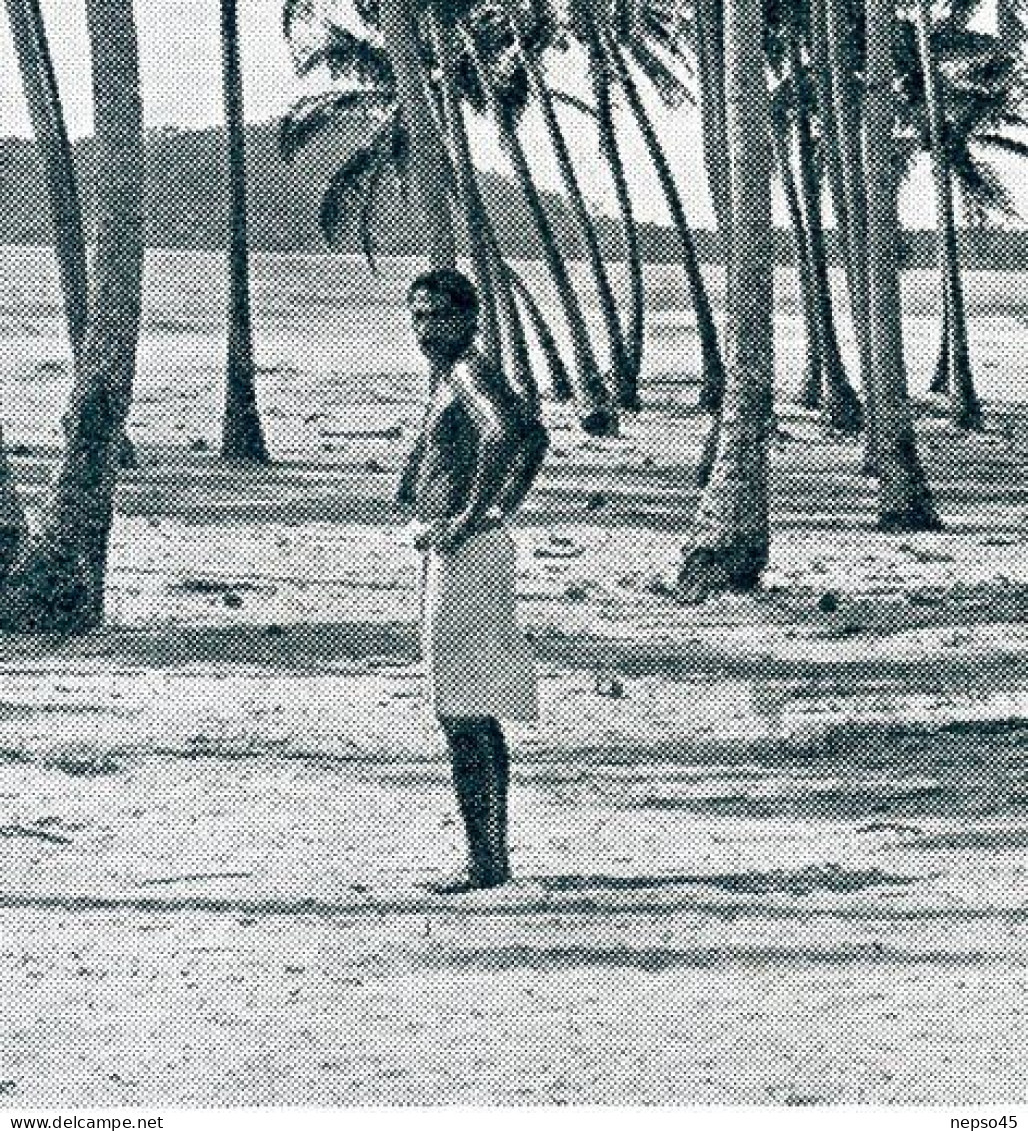 Oceanie.plantation De Cocotiers Archipel Des Samoa. - Samoa