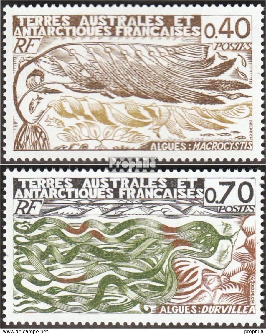 Französ. Gebiete Antarktis 115-116 (kompl.Ausg.) Postfrisch 1977 Algen - Neufs