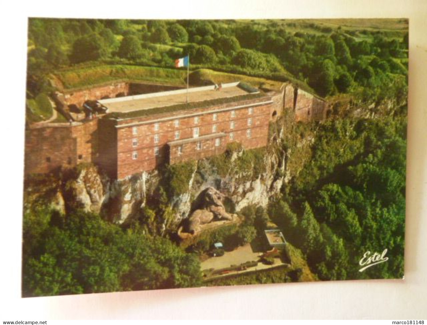 Territoire De BELFORT - Vue Aérienne Du Château Et Du Lion - Rougemont-le-Château