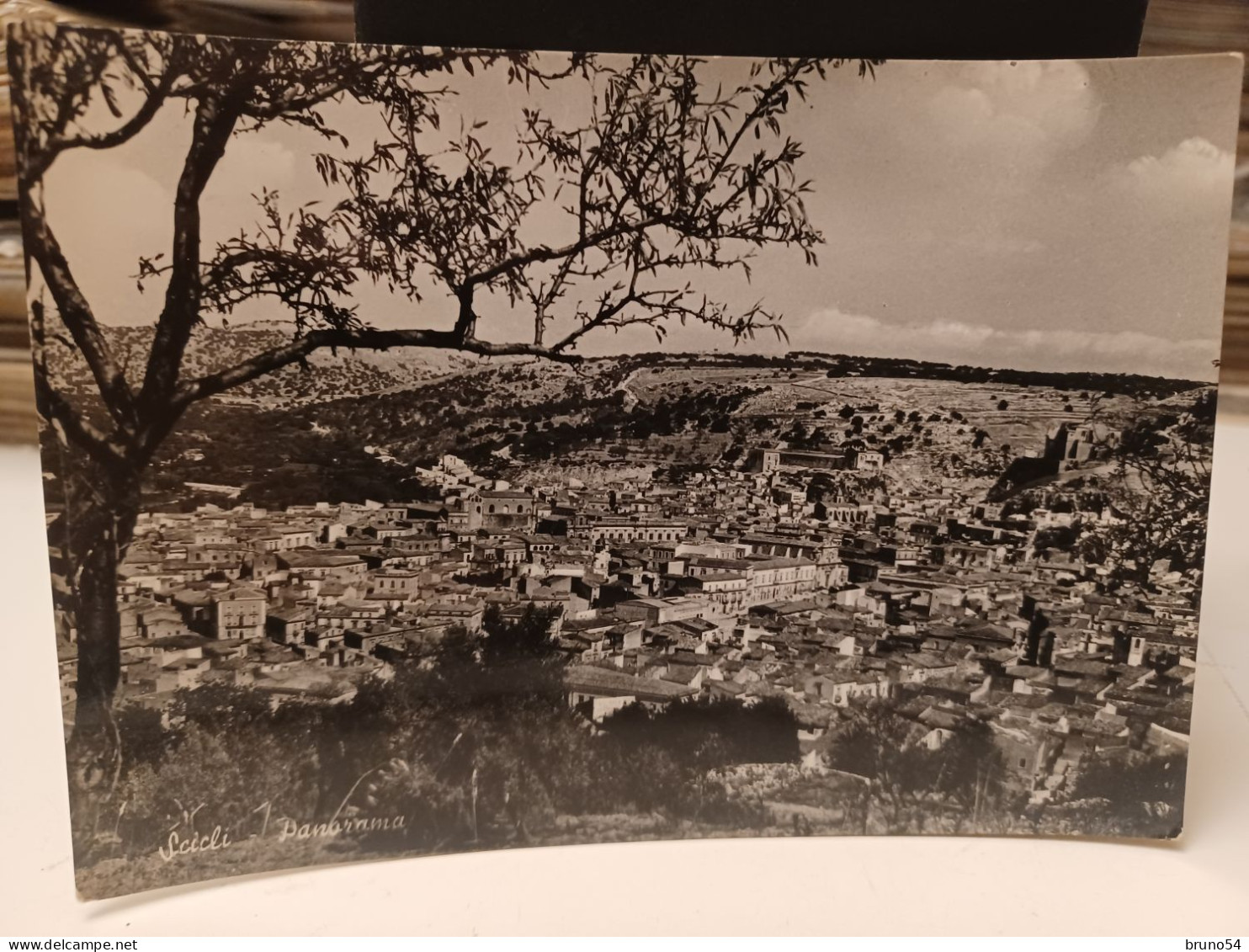 Cartolina Scicli Provincia Ragusa ,panorama 1955 - Ragusa