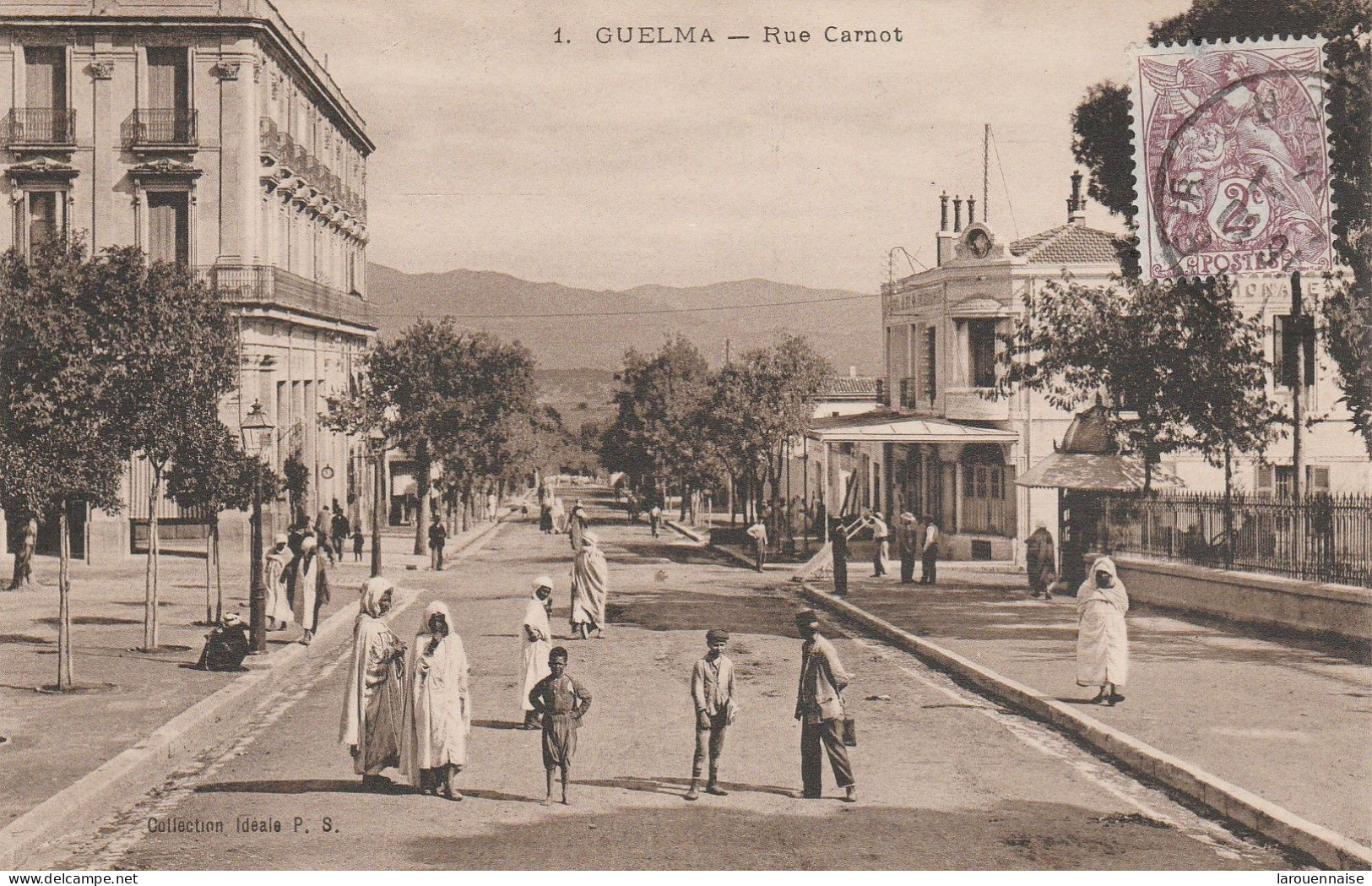 Algérie - GUELMA - Rue Carnot - Guelma