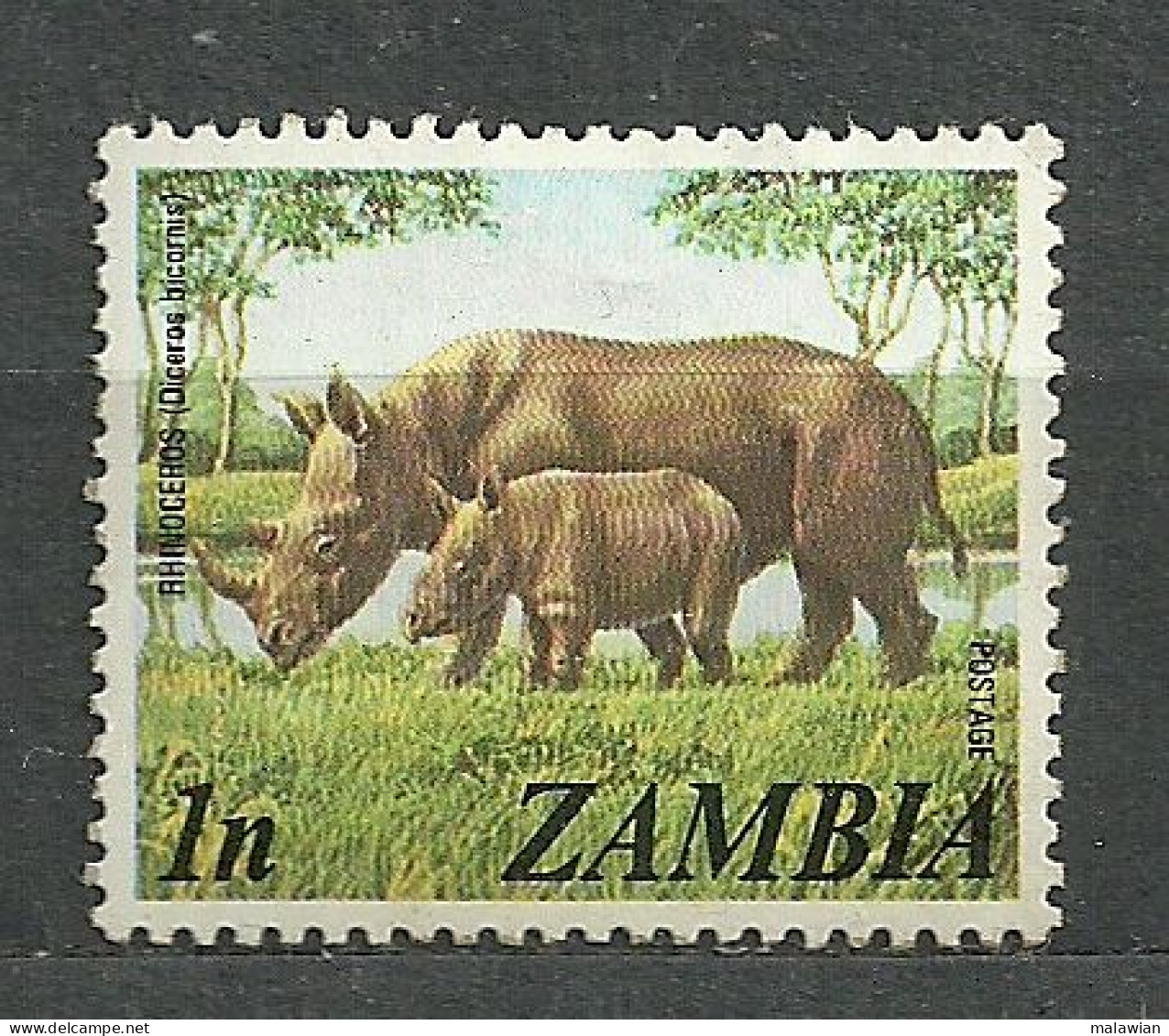 Zambia, 1975 (#141a), Rhino, Mammals, Mamíferos, Mammifères, Mammiferi, Säugetiere, Tiere, Animals, Animaux, Animali - Rhinoceros