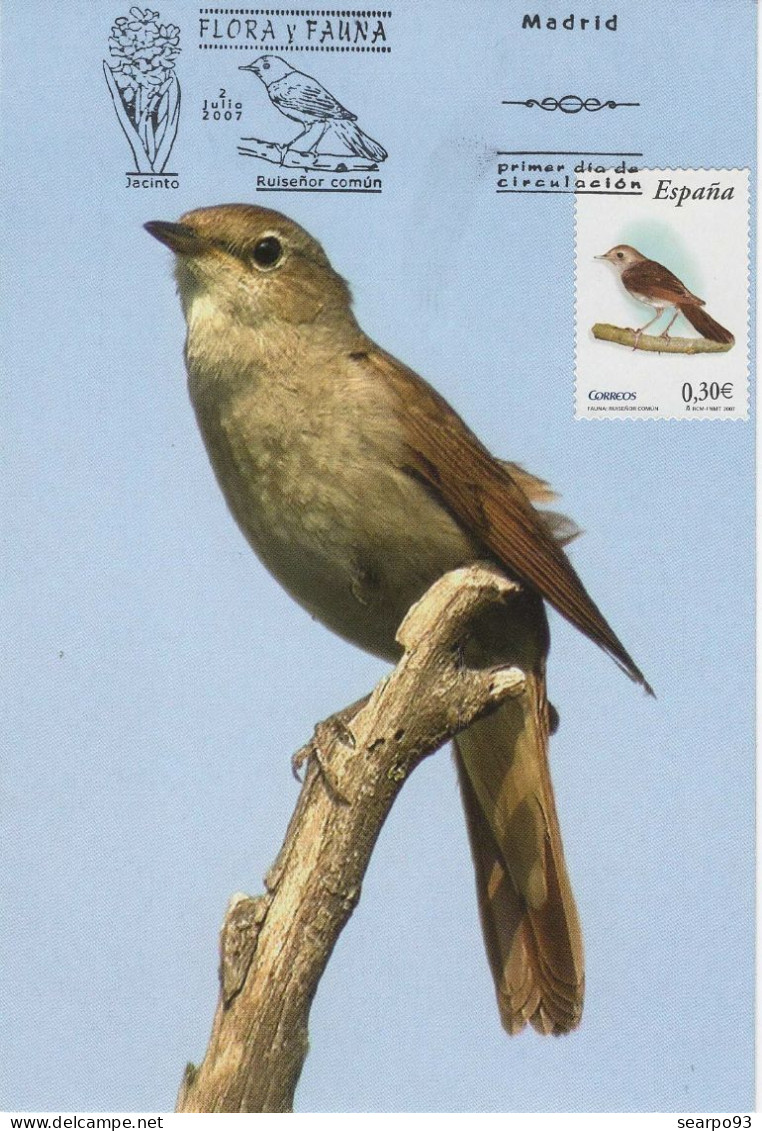 SPAIN. MAXICARD FIRST DAY. BIRD. COMMON NIGHTINGALE. 2007 - Tarjetas Máxima