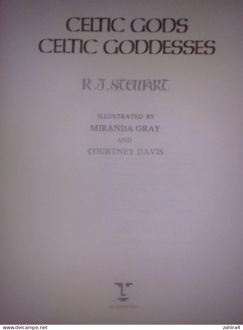 Histoire Religion Celtics Gods Celtic Goddesses Dieux Celtiques & Déesses R.J Stewart Illustration Miranda Gray C. Davis - Ontwikkeling