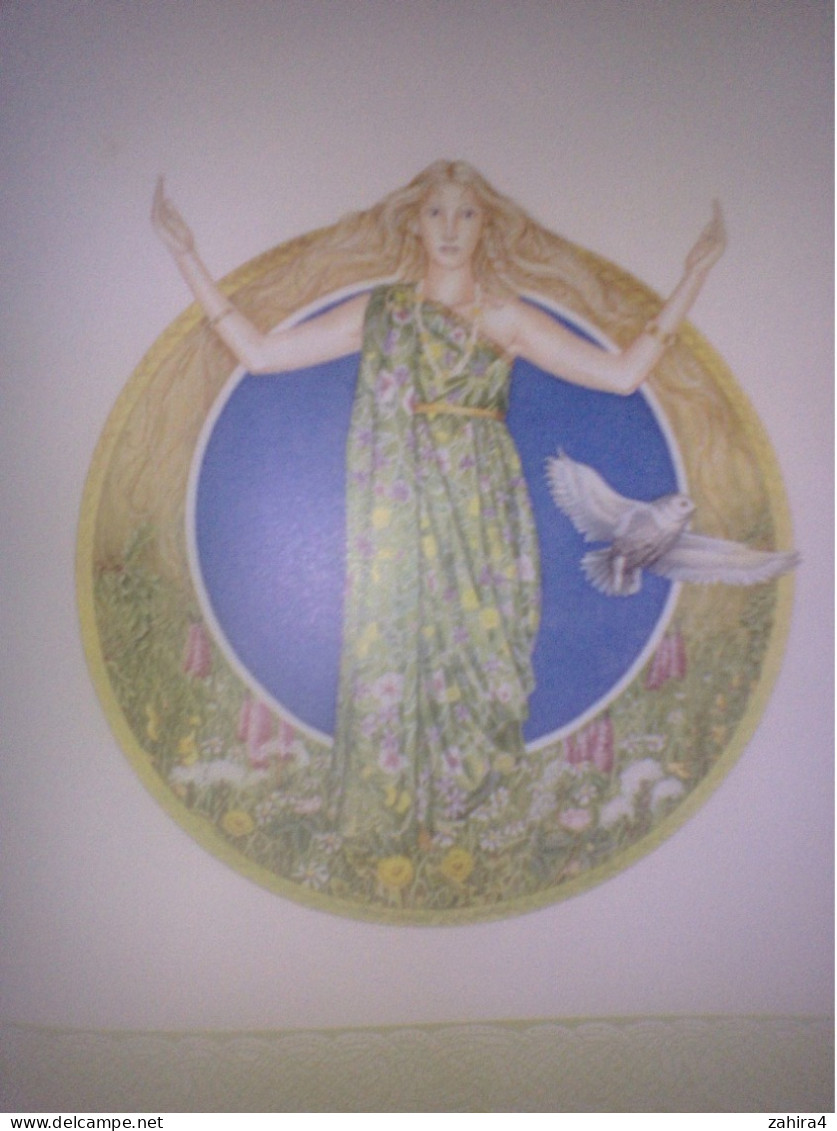 Histoire Religion Celtics gods Celtic goddesses dieux celtiques & déesses R.J Stewart Illustration Miranda Gray C. Davis