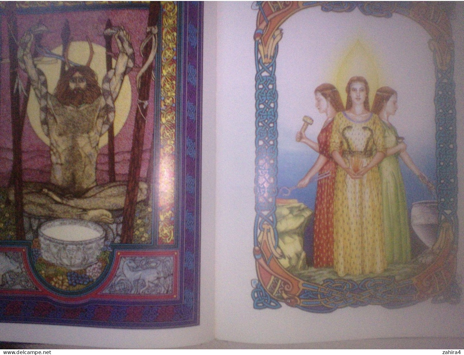 Histoire Religion Celtics gods Celtic goddesses dieux celtiques & déesses R.J Stewart Illustration Miranda Gray C. Davis