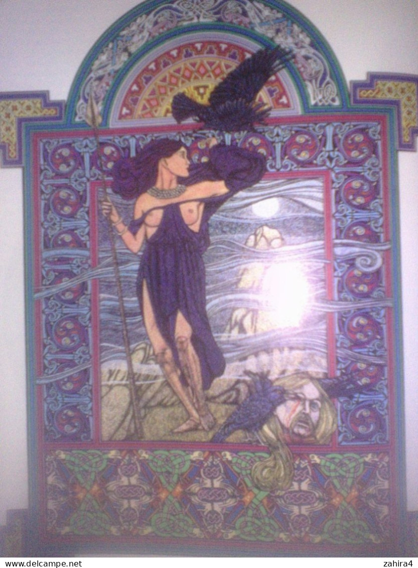 Histoire Religion Celtics gods Celtic goddesses dieux celtiques & déesses R.J Stewart Illustration Miranda Gray C. Davis