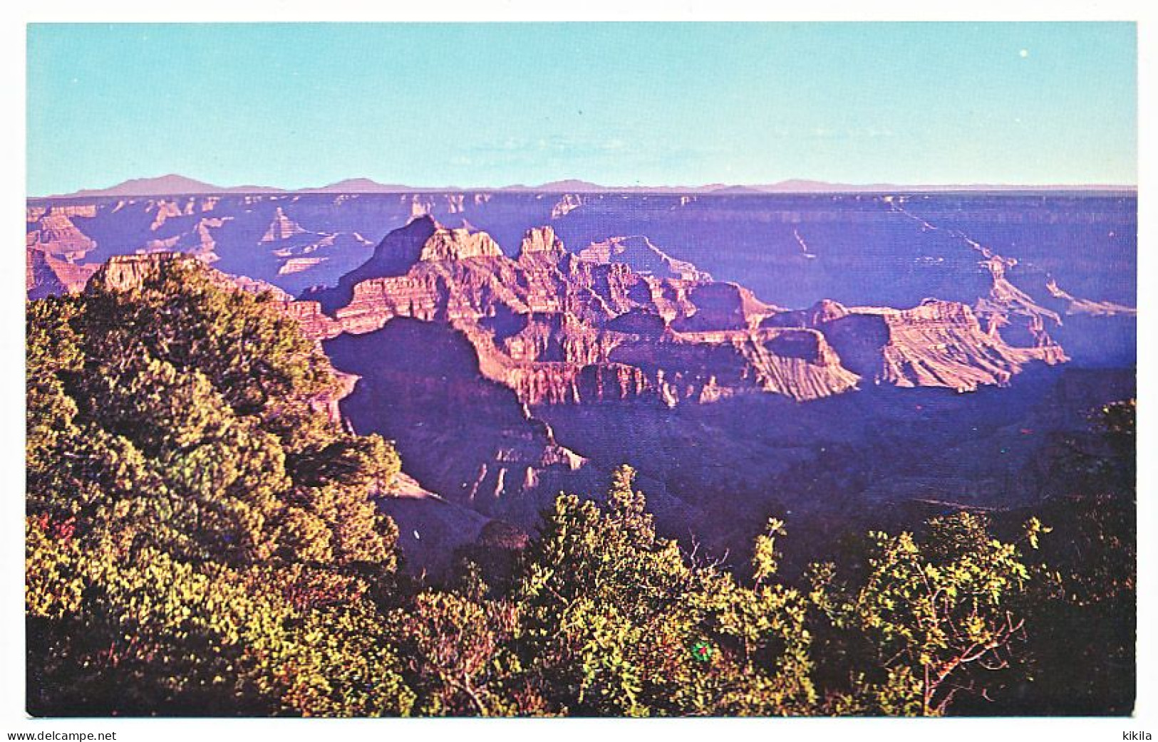 CPSM 9 X 14 USA Etats Unis (77) Arizona GRAND CANYON National Park - Grand Canyon