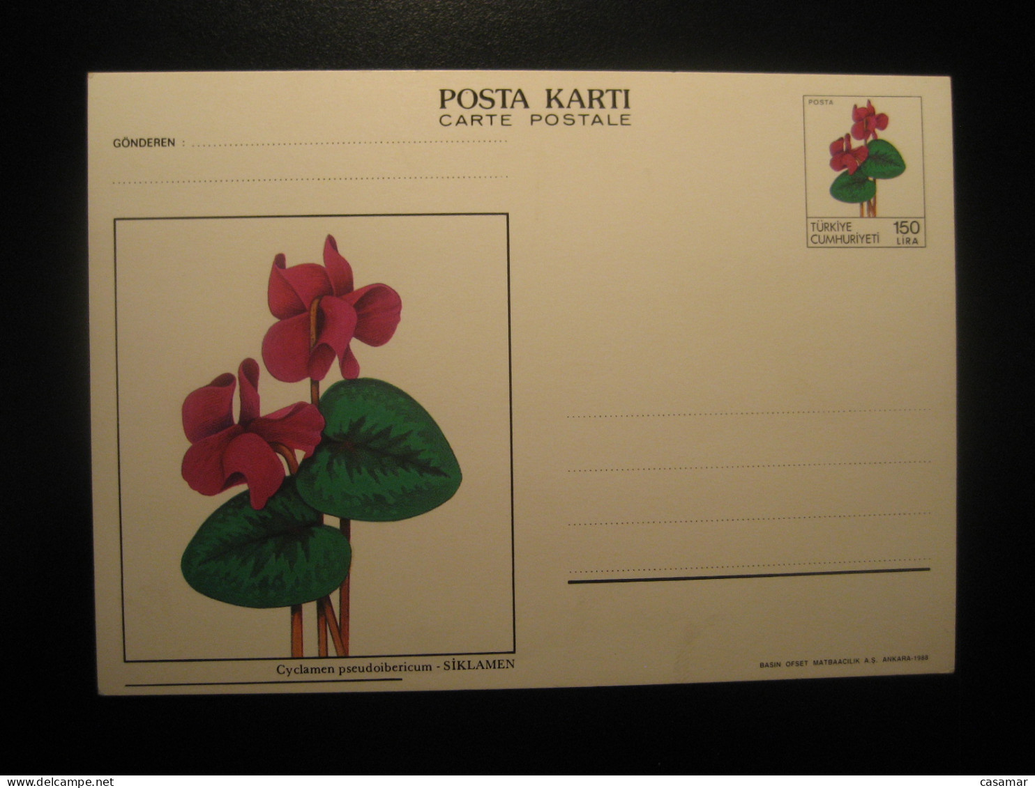 ANKARA 1988 Cyclamen Pseudoibericum Siklamen Postal Stationery Card TURKEY - Cartas & Documentos