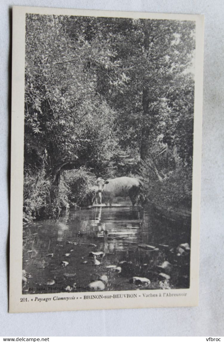 Brinon Sur Beuvron, Vaches à L'abreuvoir, Nièvre 58 - Brinon Sur Beuvron