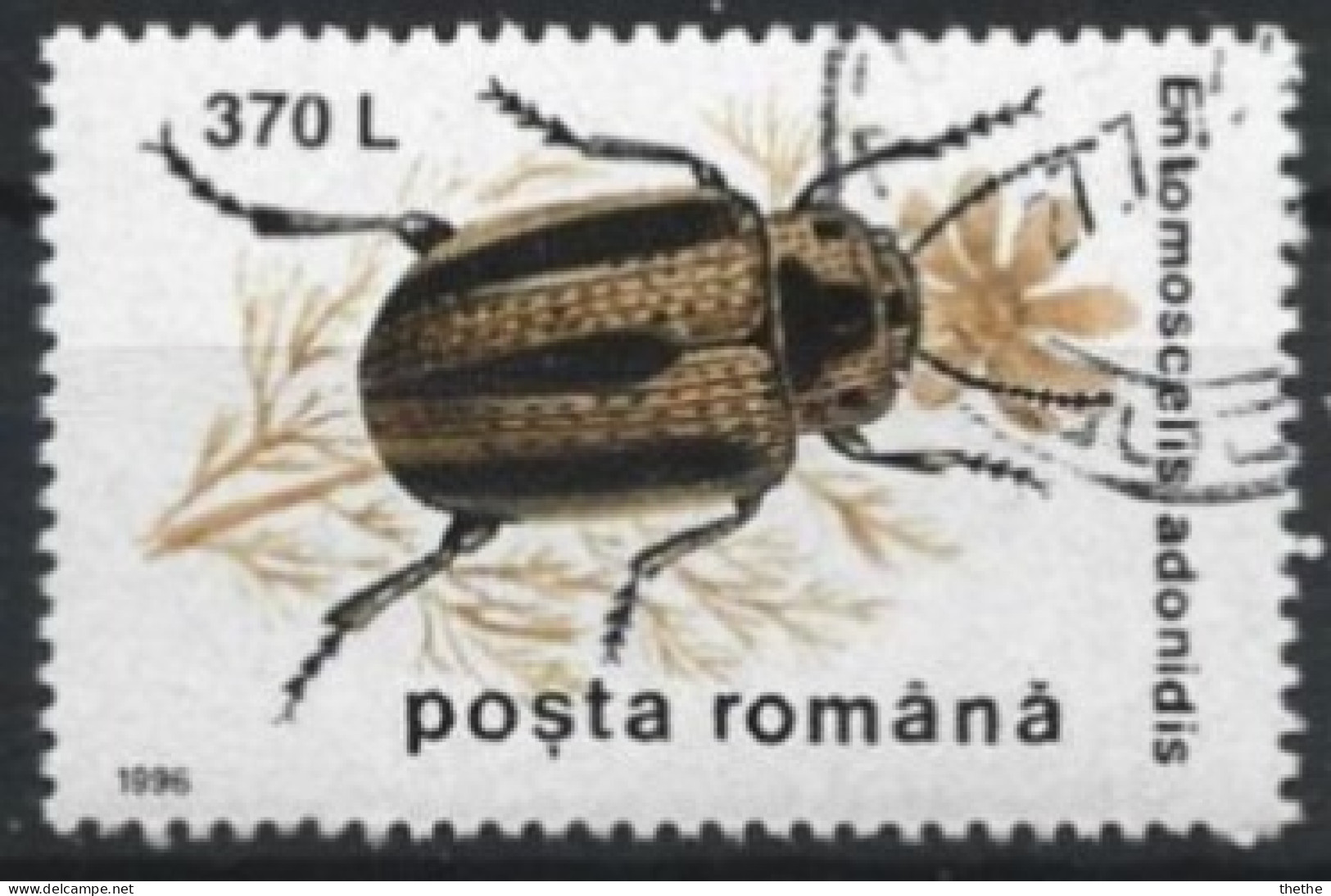 ROUMANIE - Coccinelle Des Feuilles (Entomoscelis Adonidis) - Used Stamps