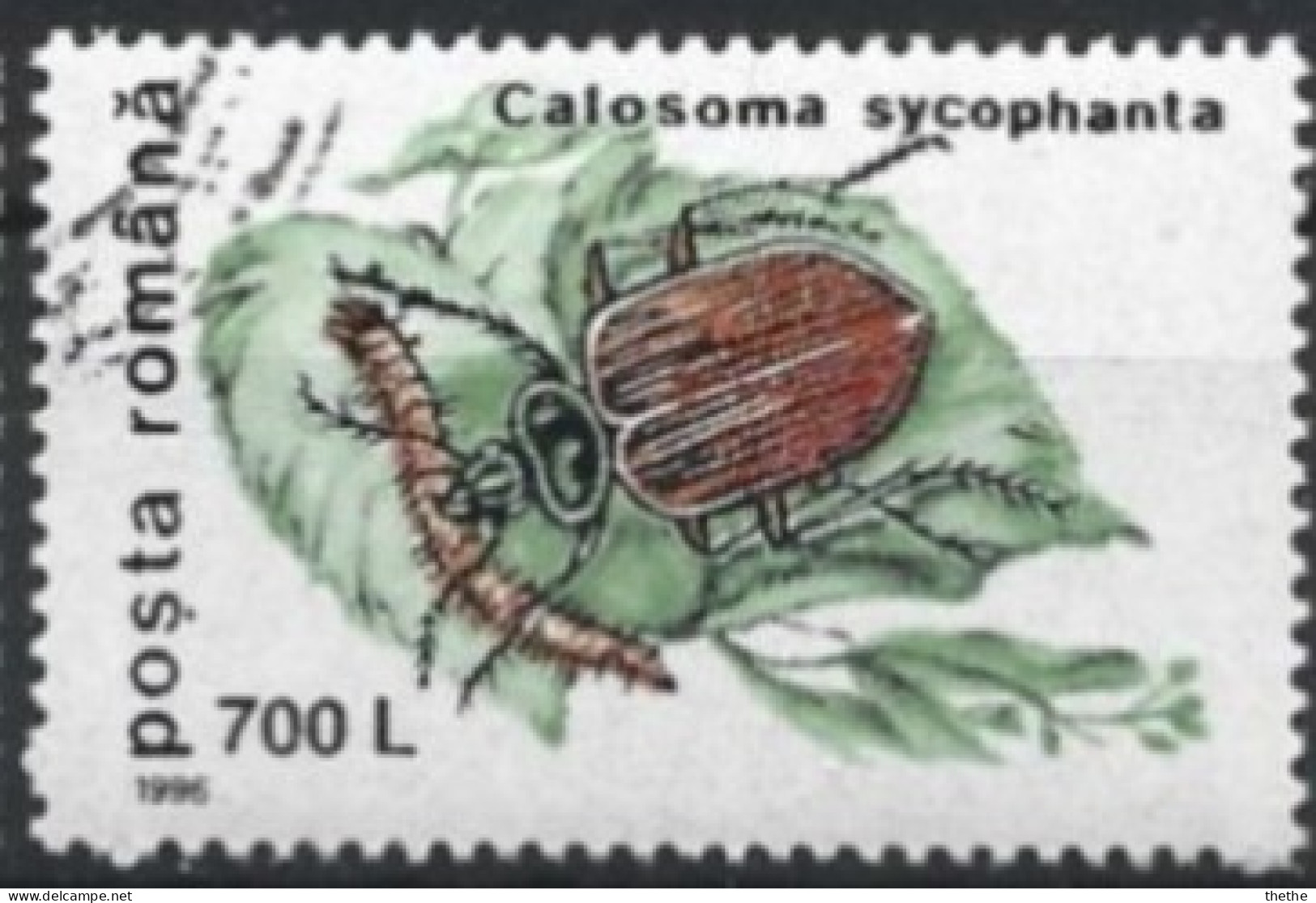 ROUMANIE - Calosome Européen (Calosoma Sycophanta) - Gebraucht